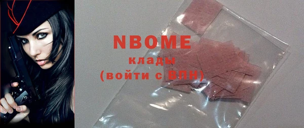 стафф Новодвинск