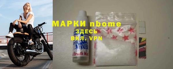 стаф Алексин