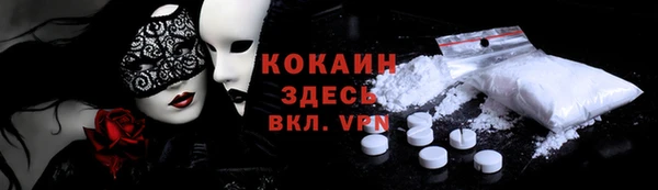 стаф Алексин