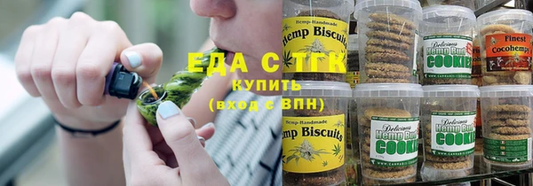 стаф Алексин