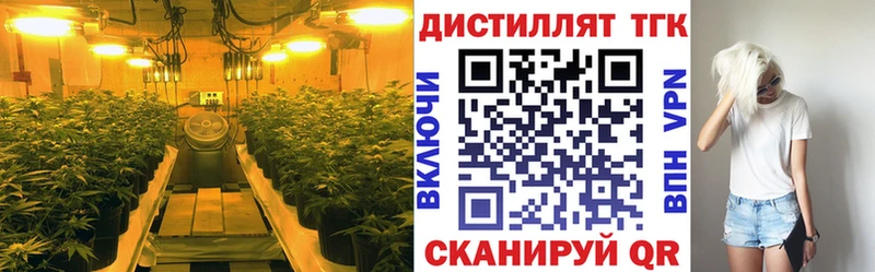 ТГК THC oil  Купить закладки  Глазов 