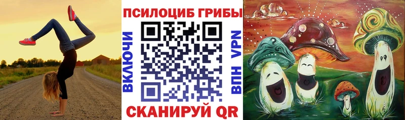 Галлюциногенные грибы Cubensis  Купить где  Глазов 